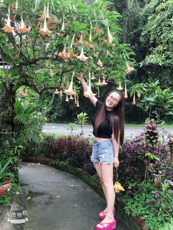 离异单身无子的第二张照片--漳平交友网