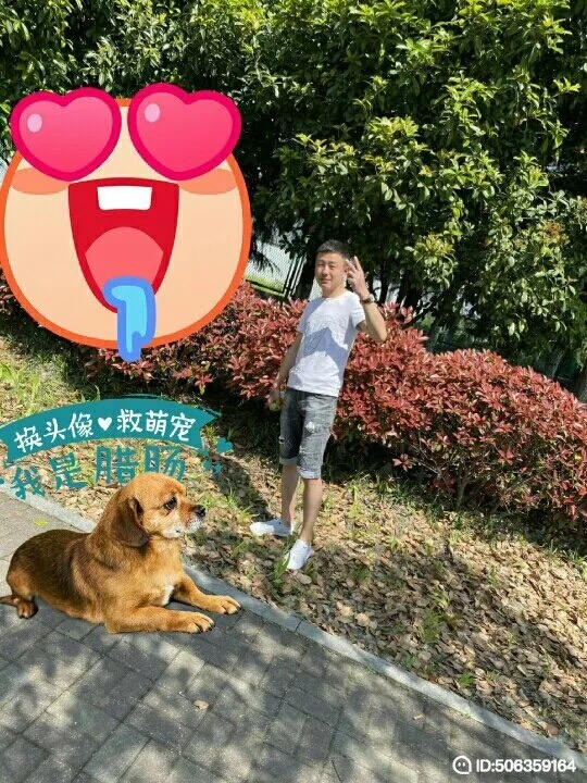 我若不坚强谁替我勇敢的第一张照片--漳平交友网