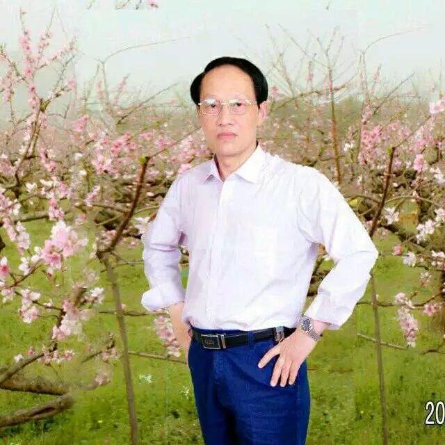 枫叶的第一张照片--漳平交友网